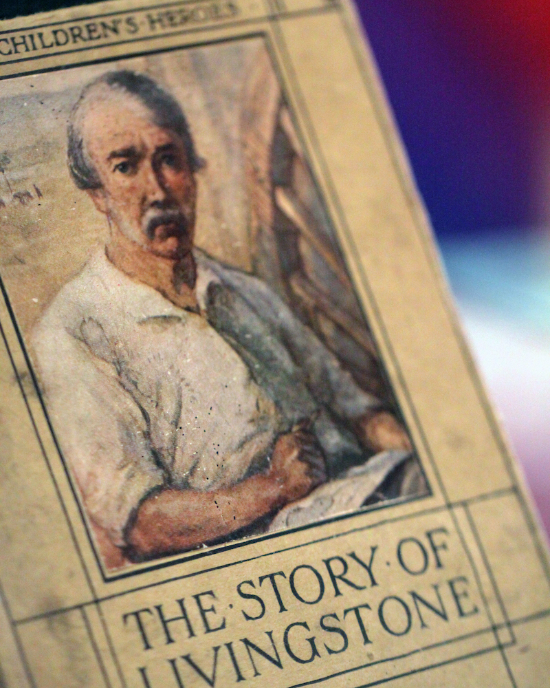 Book Cover - The Story of Livingstone