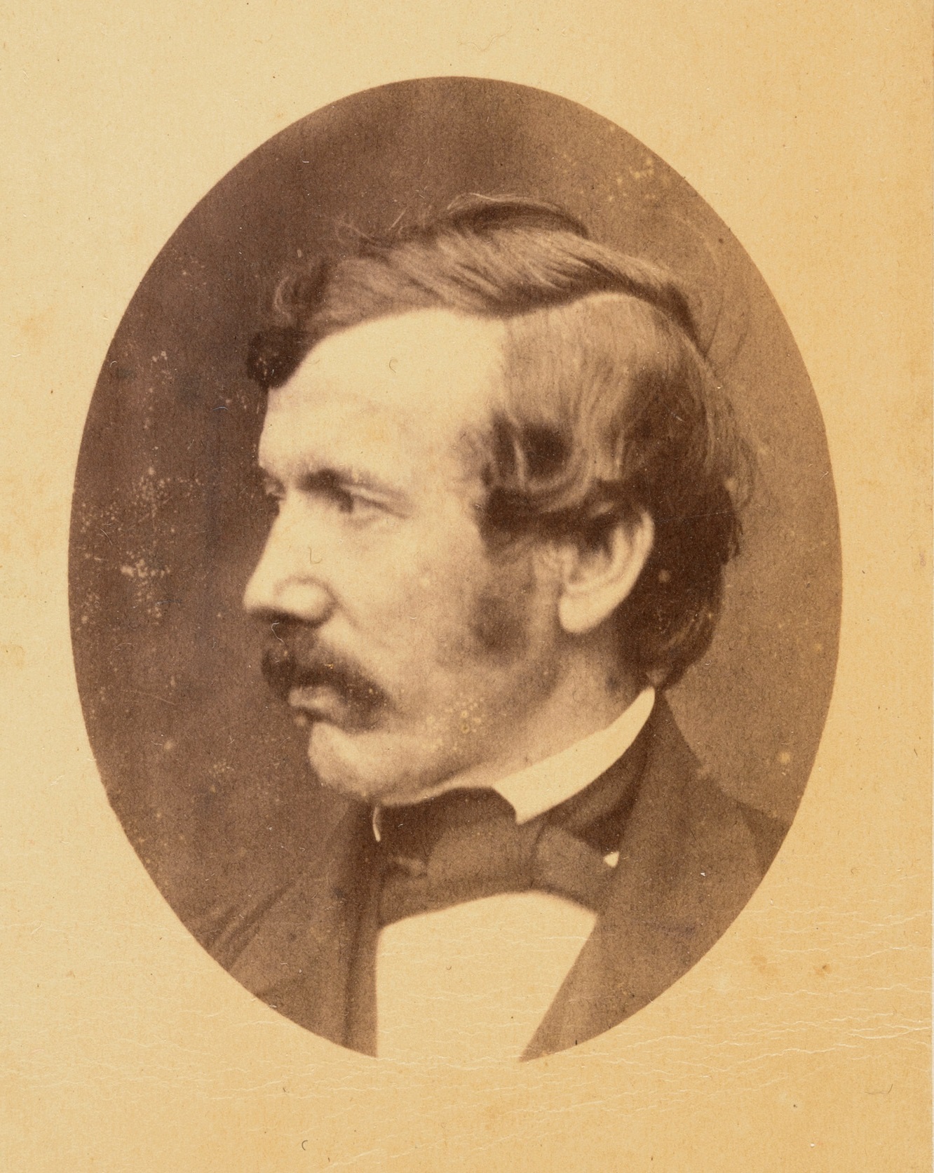 David Livingstone Adventurer