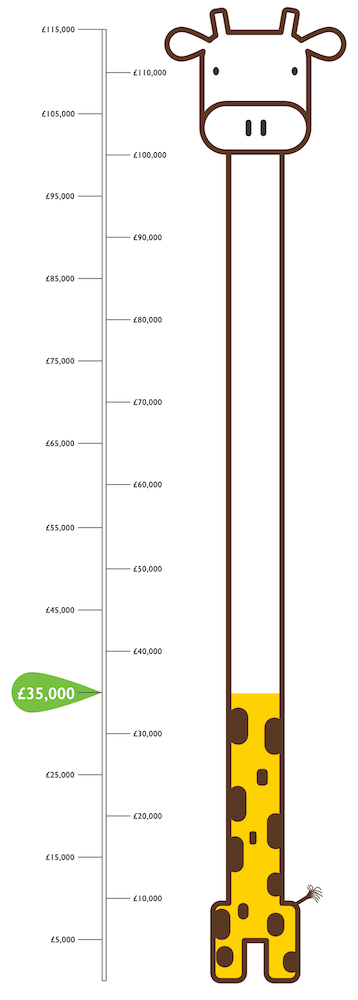 Giraffe Target infograph for Play Park Fund raising