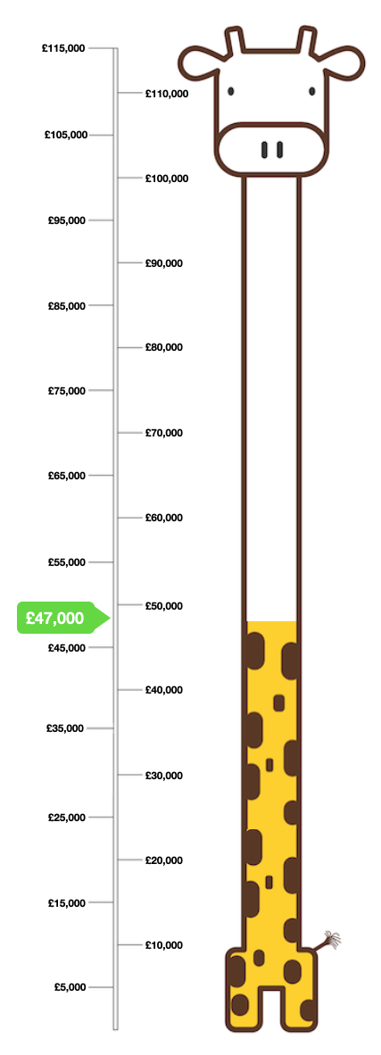 Giraffe Target Infographic for Play Park Fund Raising