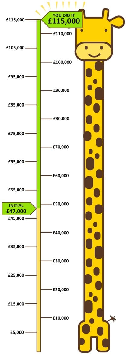 Giraffe Target Infographic for Playpark Fund Raising