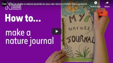 How To Make A Nature Journal So You Can Record Wildlife Like A Scientist